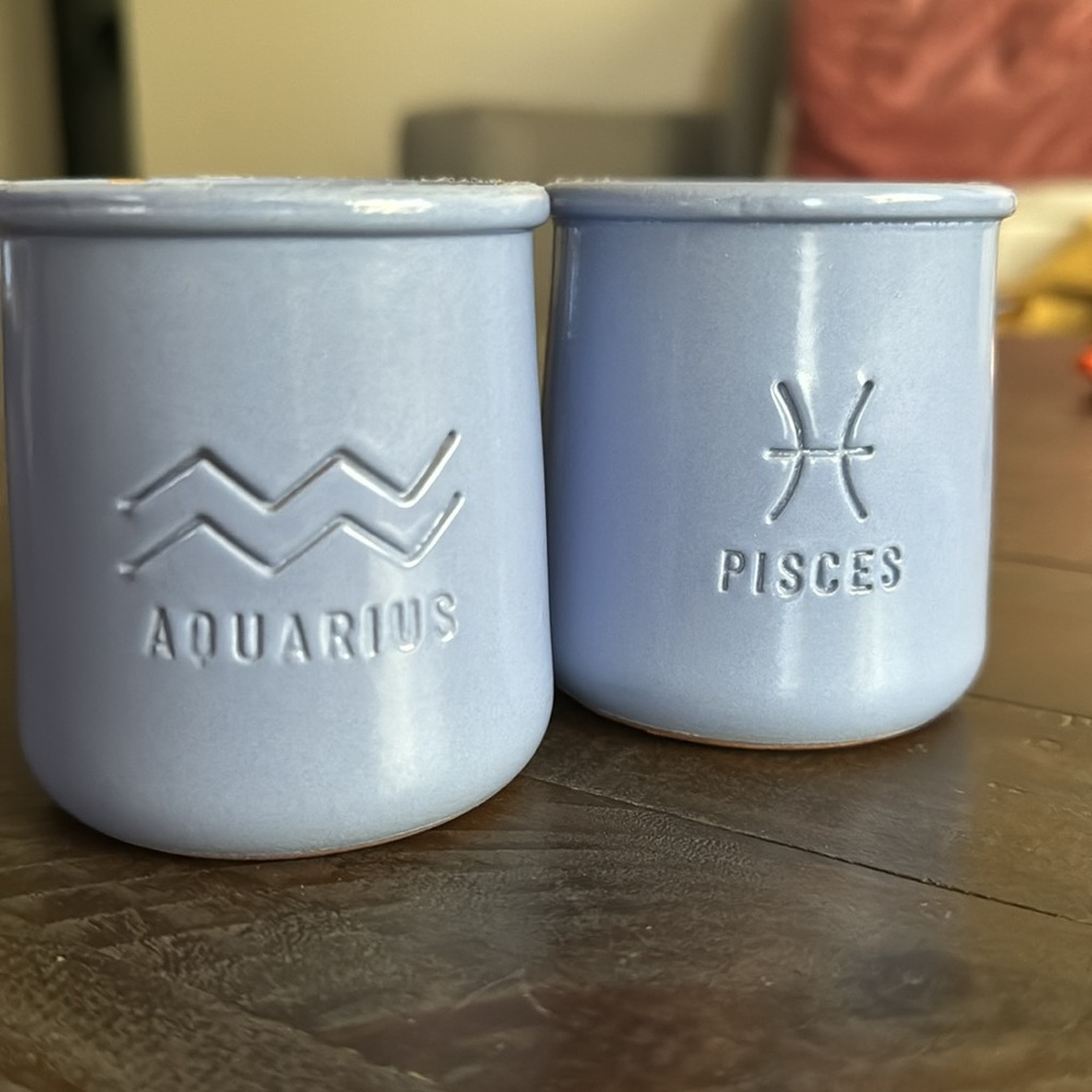 {La Fernière} ceramic ZODIAC empty pots 2pcs